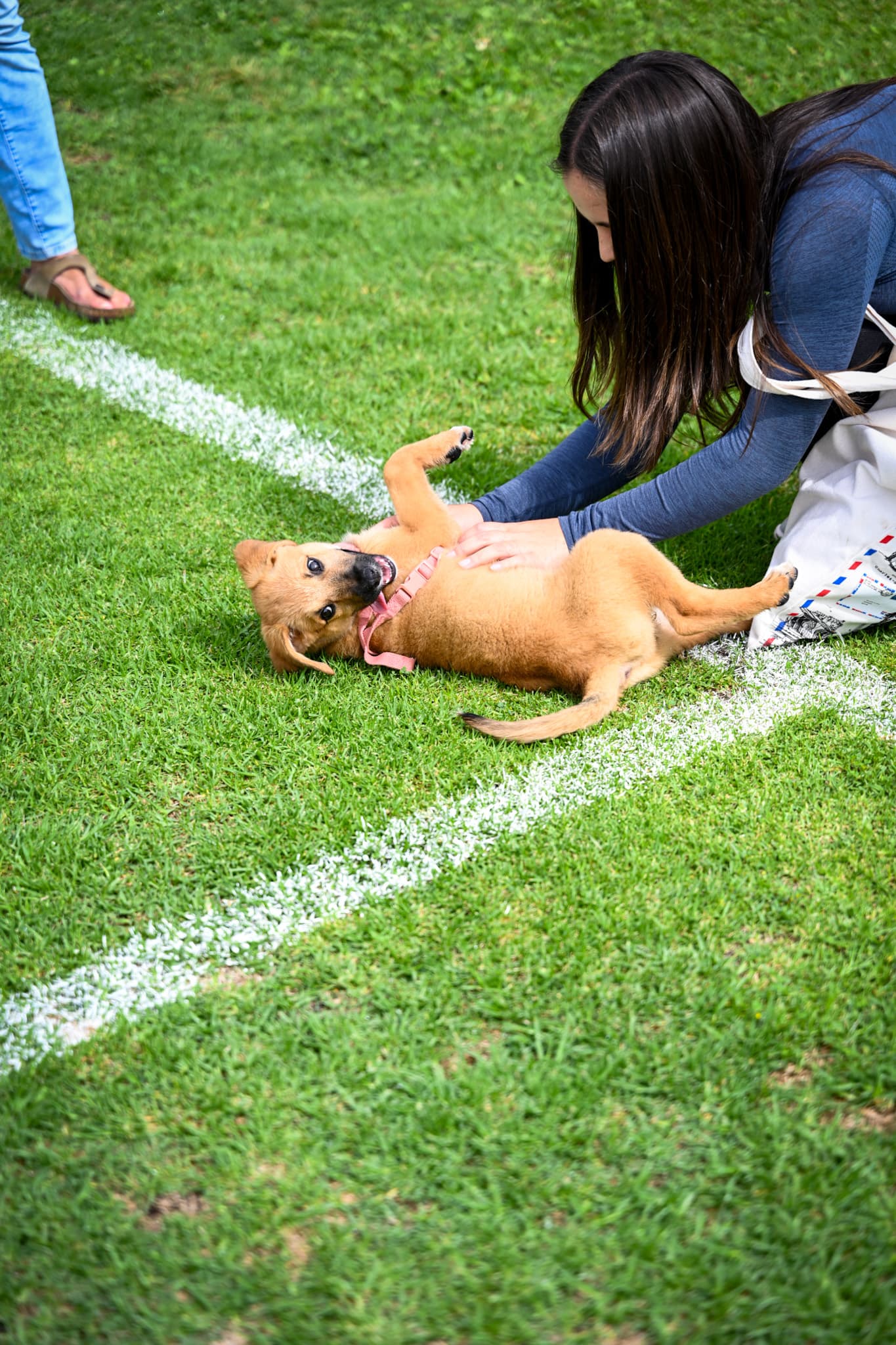 Familia jugando con un perrito en una jornada de adopción