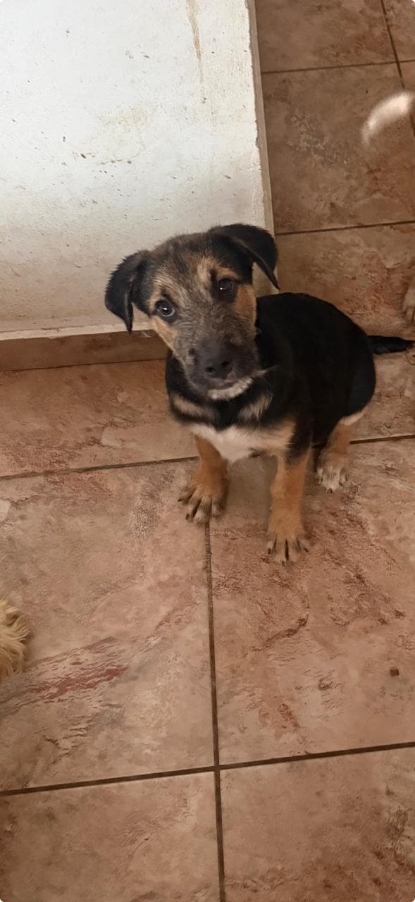 Luna